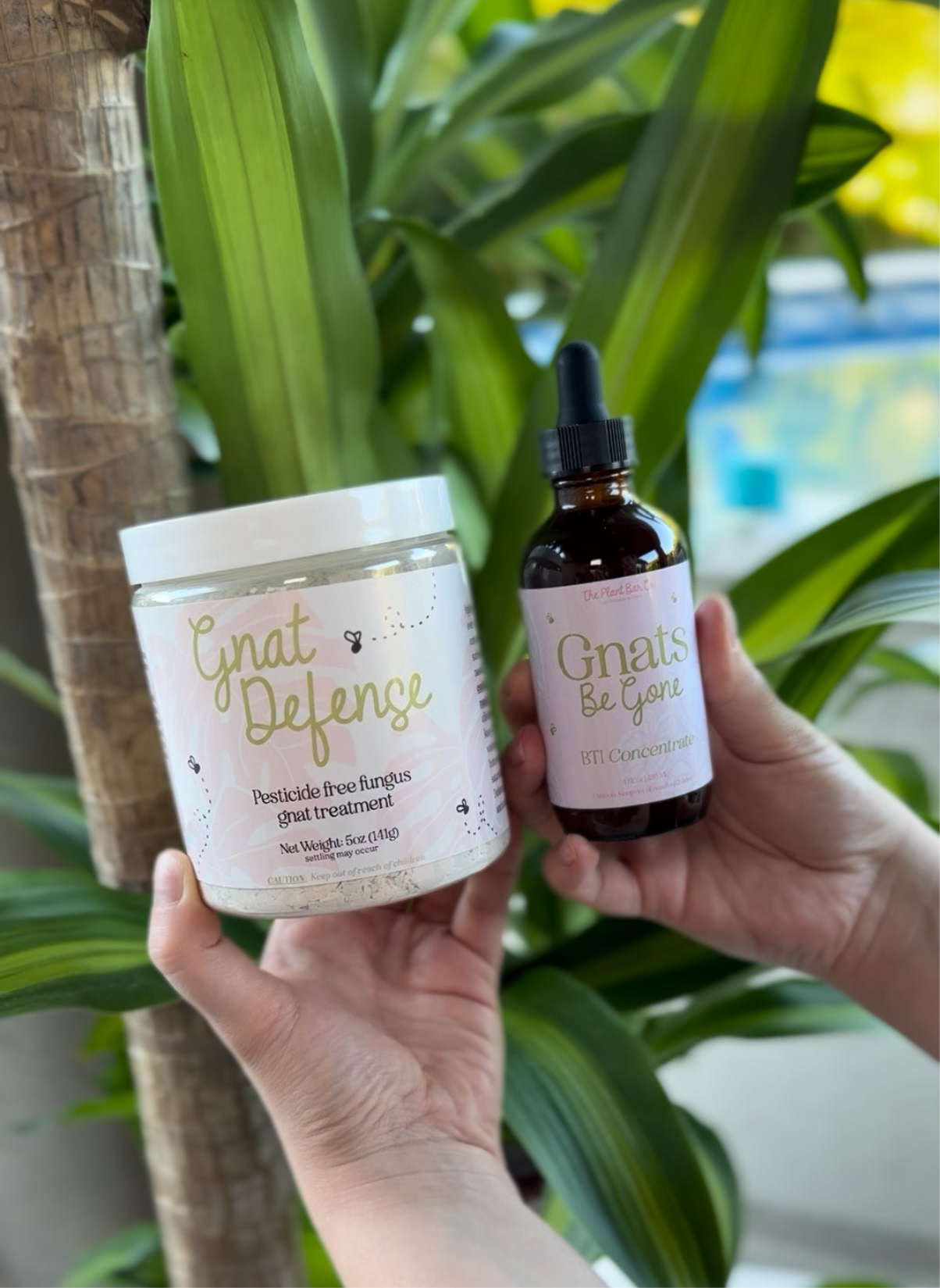 gnat pesticide for indoor plants Gnats-Be-Gone Bundle