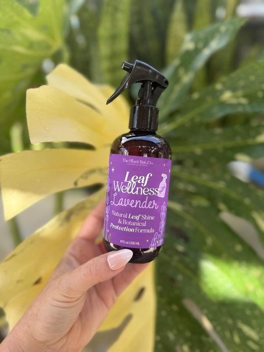 The Plant Bar Co Mini’s