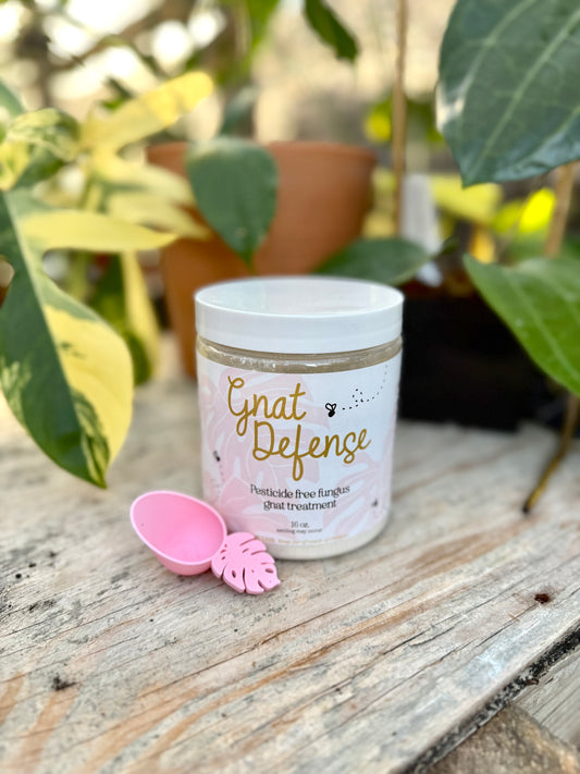 Gnat Defense | Pesticide Free Fungus Gnat Treatment