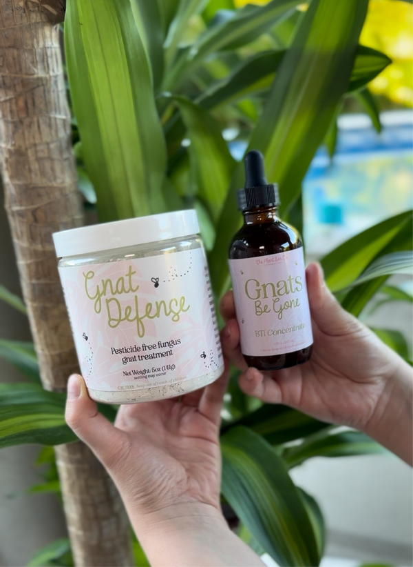 Gnats-Be-Gone Bundle