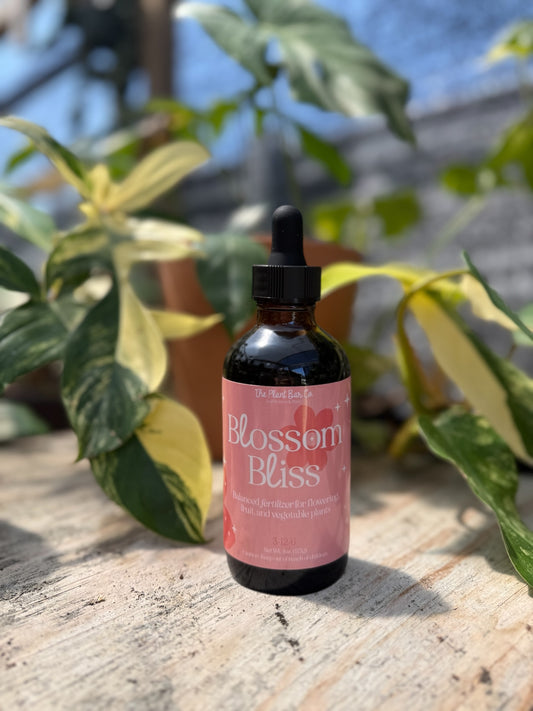 Blossom Bliss