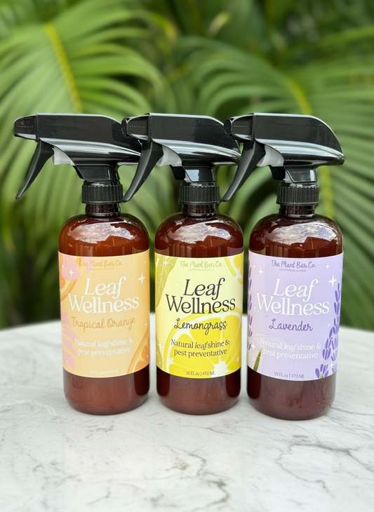 Leaf Wellness Summer Scents Collection | Leaf Shine | Pest Deterrent