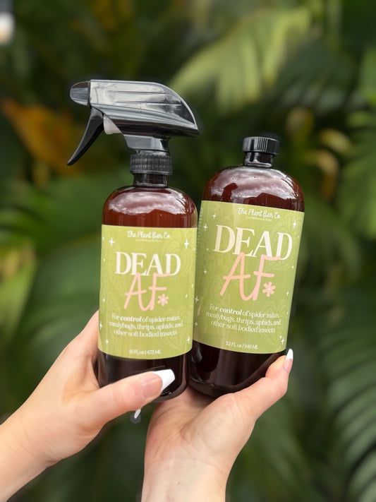 Dead AF | Pest Control