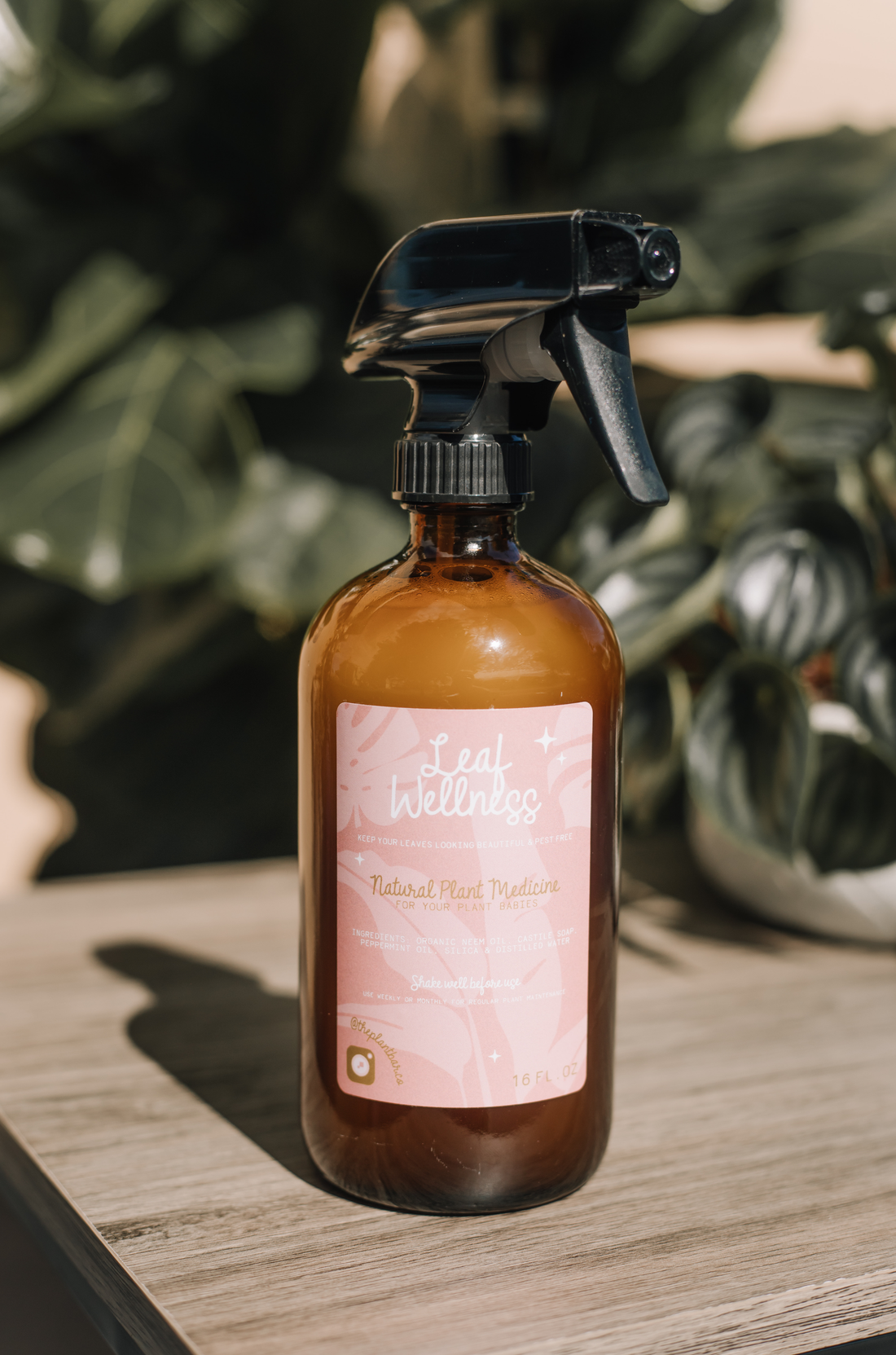 Leaf Wellness Organic Leaf Shine Pest Preventative The Plant Bar Co.